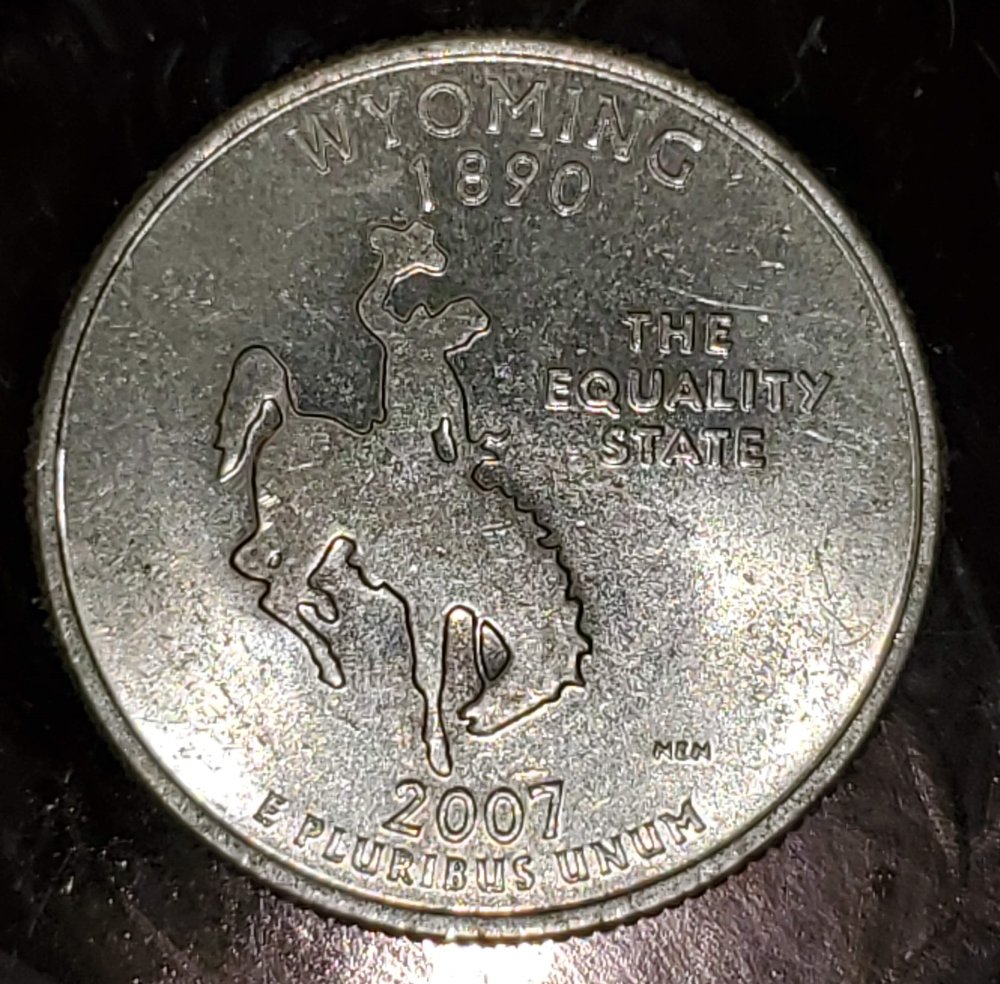 2007-Wyoming-State-Quarter-Alligator-Skin